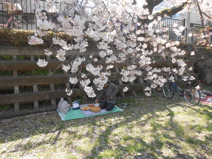 最後の花見・今日の野川の桜花は舞い踊ってました。花ちらし寿司です。_a0095931_21501517.jpg
