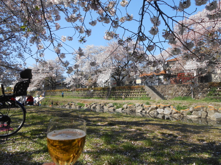 最後の花見・今日の野川の桜花は舞い踊ってました。花ちらし寿司です。_a0095931_22402870.jpg