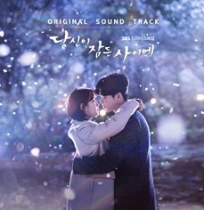 Ostのまとめ 韓国ドラマ あなたが眠っている間に 韓コレ19ostランキング第5位 モンタンkorea 韓国ドラマost評論家