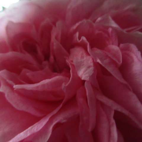 a0329935_07201583.jpeg