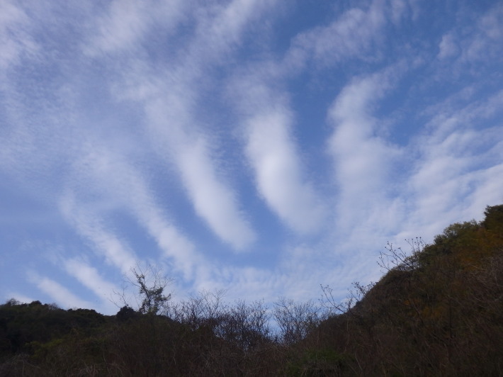 a0054240_21473754.jpg
