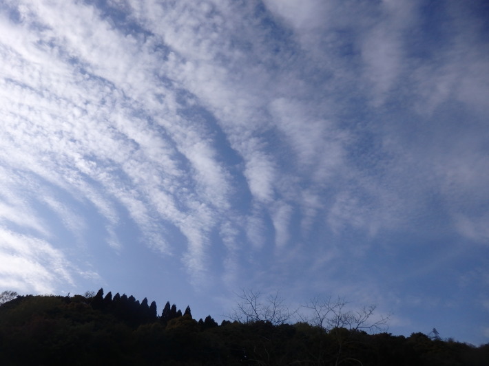 a0054240_21490438.jpg
