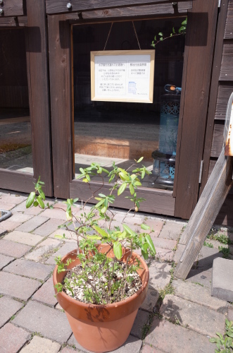 ミルそら最高!_b0207642_11290215.jpg