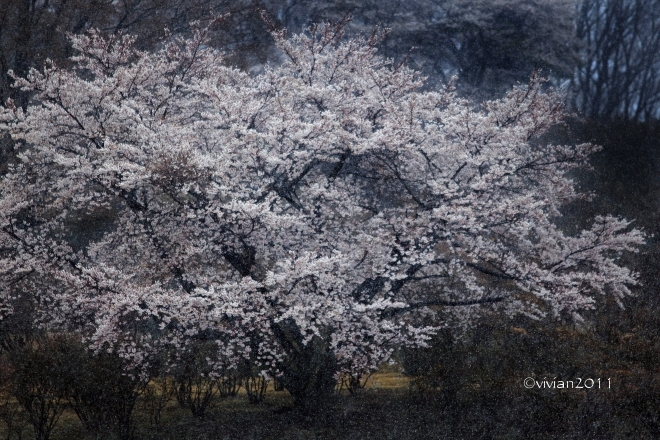 ダメ出し写真館 その31_e0227942_01164026.jpg