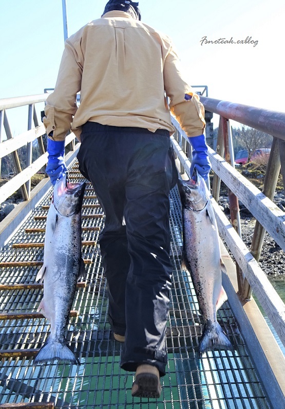 釣りへ Part 2 もう\" 幻 \" ではない_d0356844_05444685.jpg