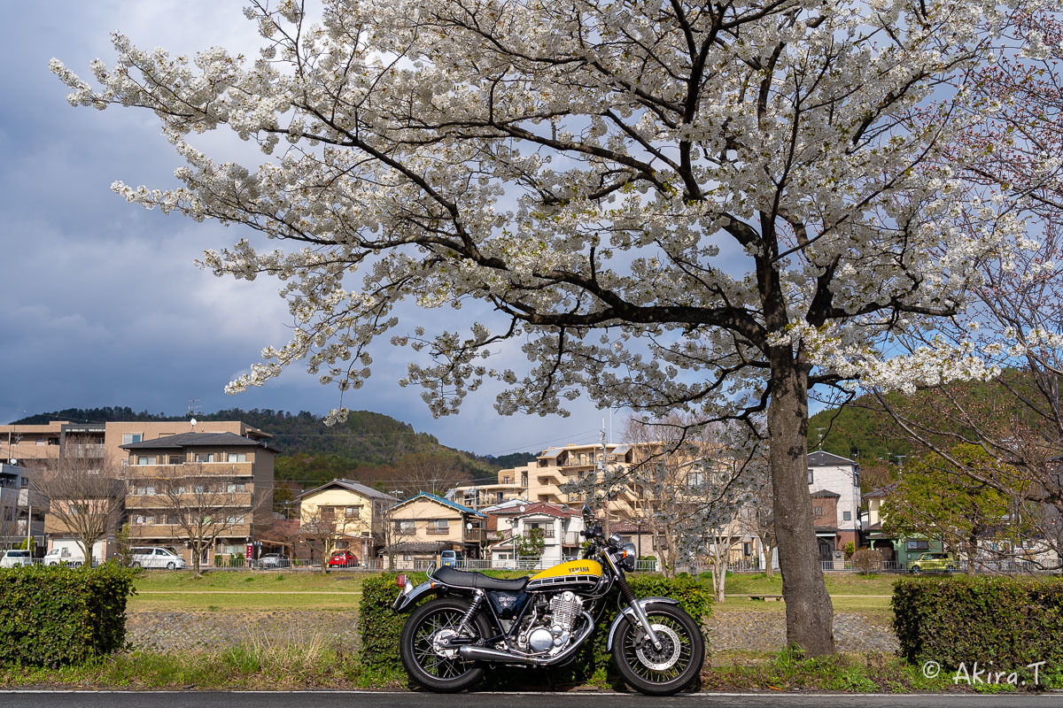バイクは楽し!! YAMAHA SR400 -48-_f0152550_22361646.jpg