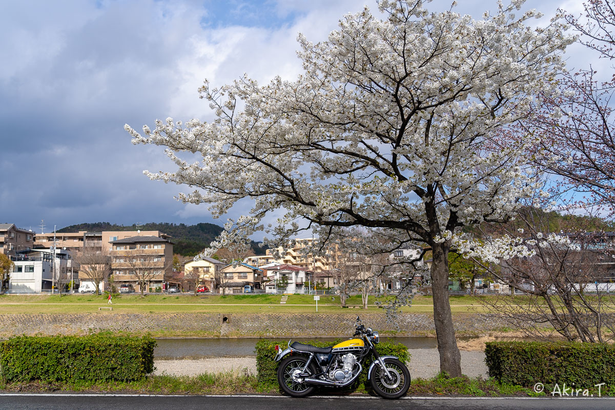 バイクは楽し!! YAMAHA SR400 -48-_f0152550_22362699.jpg
