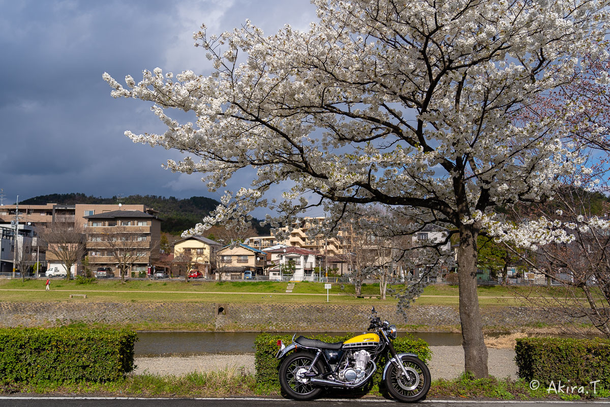 バイクは楽し!! YAMAHA SR400 -48-_f0152550_22363635.jpg