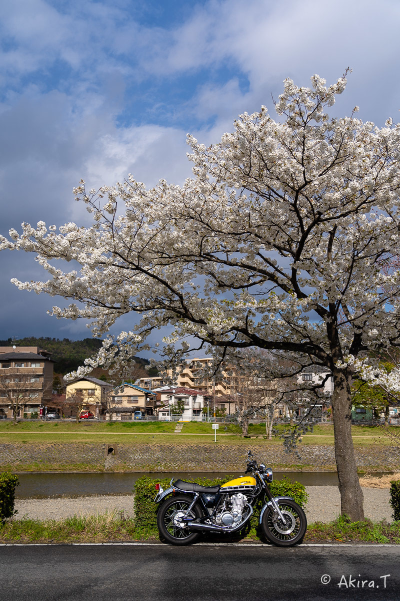 バイクは楽し!! YAMAHA SR400 -48-_f0152550_22364506.jpg