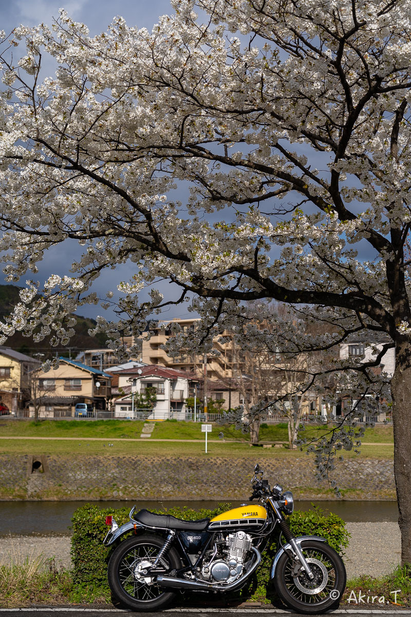 バイクは楽し!! YAMAHA SR400 -48-_f0152550_22371100.jpg