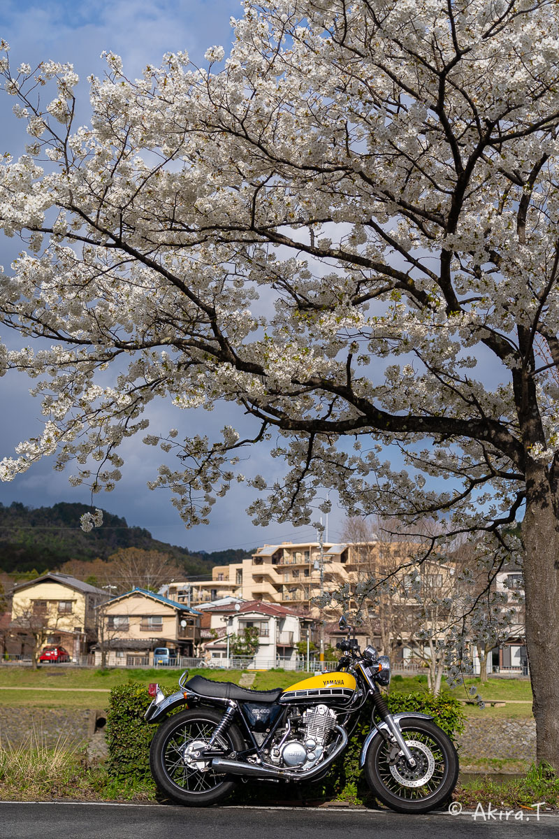 バイクは楽し!! YAMAHA SR400 -48-_f0152550_22372116.jpg