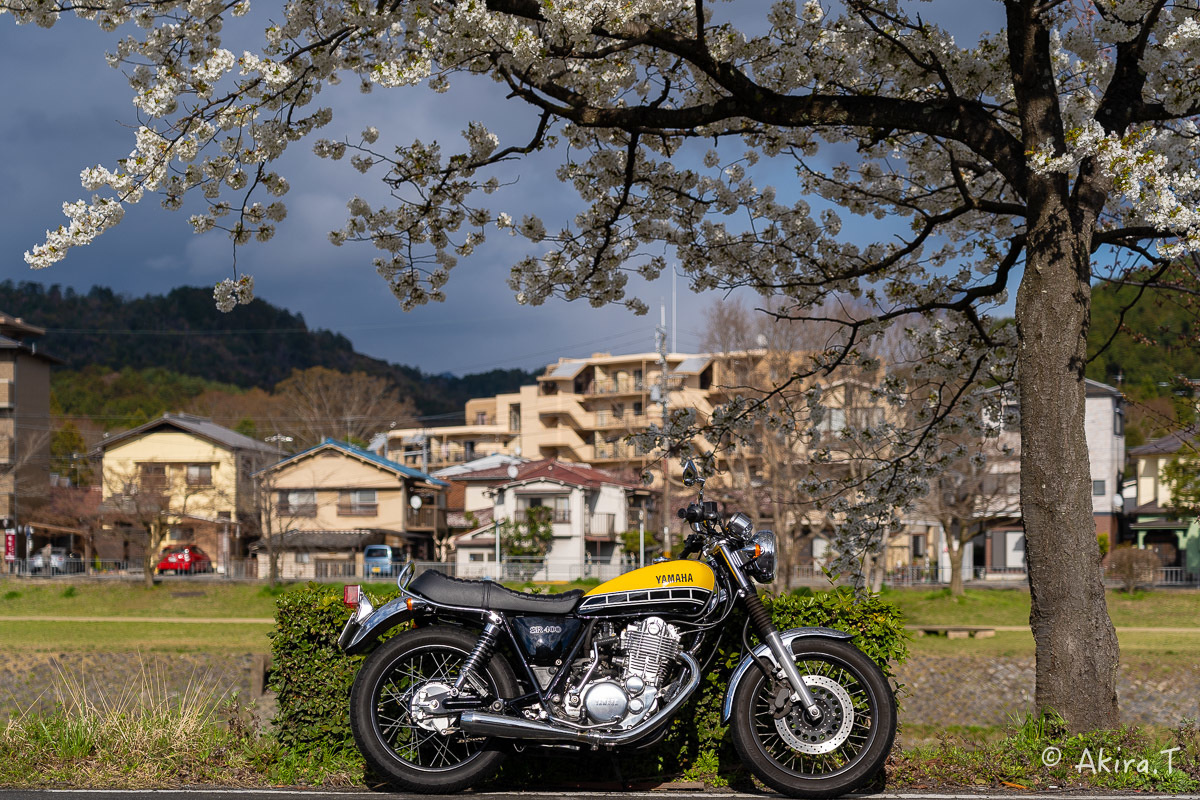 バイクは楽し!! YAMAHA SR400 -48-_f0152550_22374670.jpg