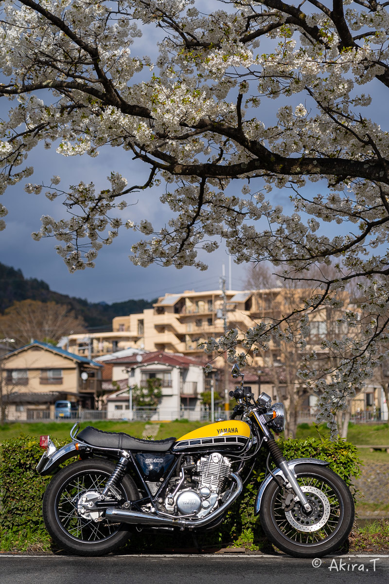 バイクは楽し!! YAMAHA SR400 -48-_f0152550_22391440.jpg