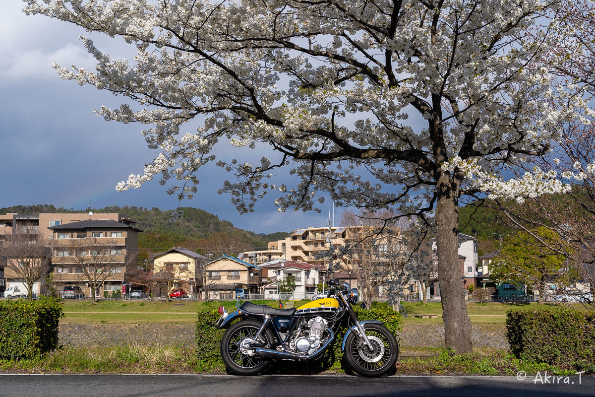 バイクは楽し!! YAMAHA SR400 -48-_f0152550_22392851.jpg