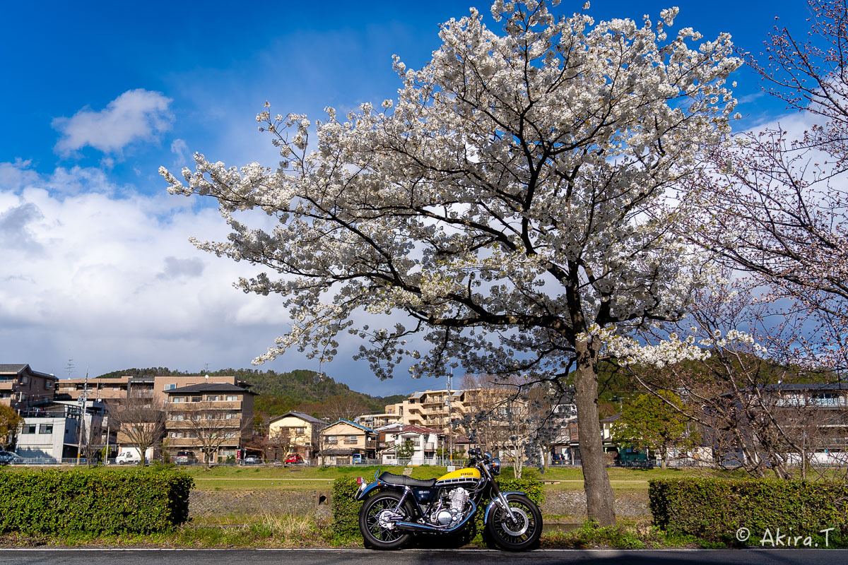バイクは楽し!! YAMAHA SR400 -48-_f0152550_22403198.jpg