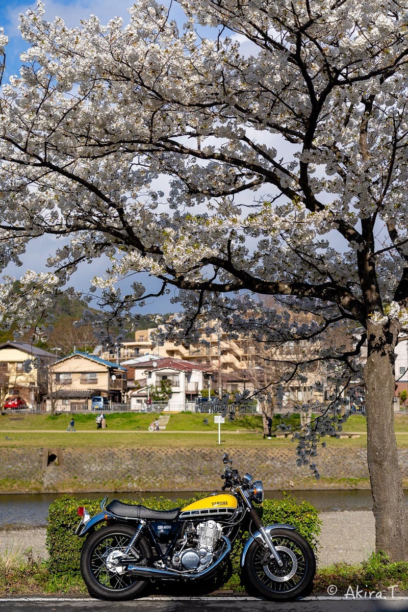 バイクは楽し!! YAMAHA SR400 -48-_f0152550_22404600.jpg