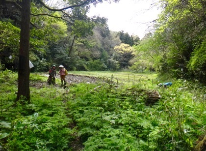 4月第2週 はじまりの春_e0256851_04105802.jpg