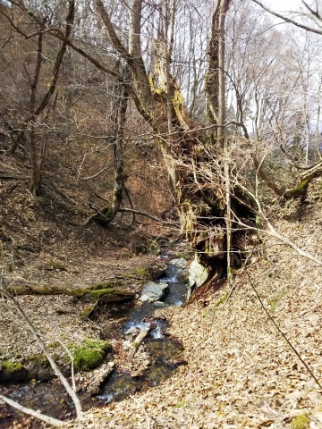 d0007657_17573210.jpg
