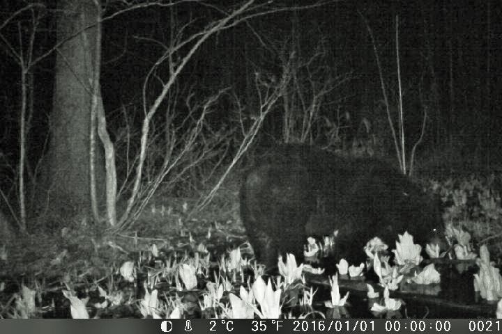 c0294658_21365880.jpg