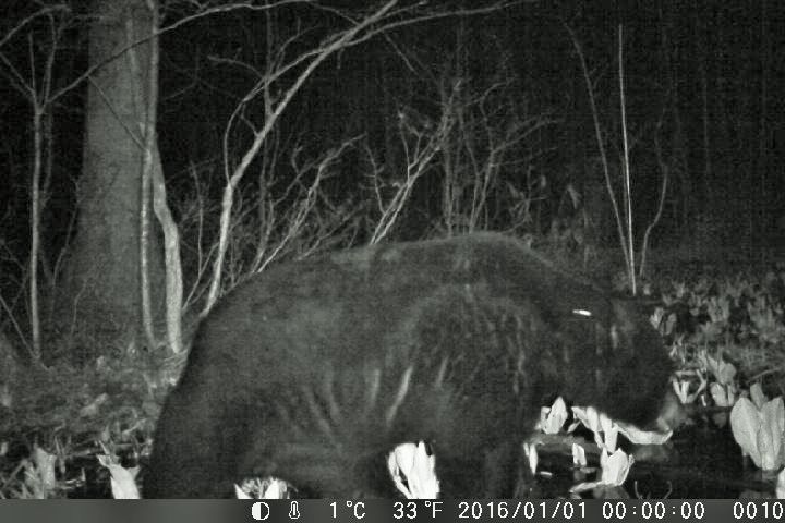 c0294658_21365898.jpg