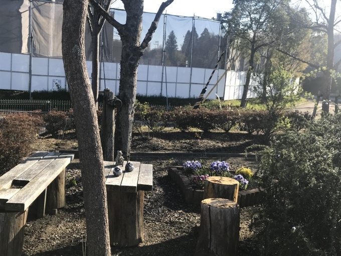 ロゼワインに桜_b0100062_13144918.jpeg