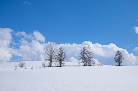 マイルドセブンの丘はまだまだ雪景色～4月の美瑛_d0340565_19422762.jpg