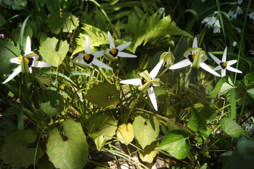 e0181373_20522484.jpg