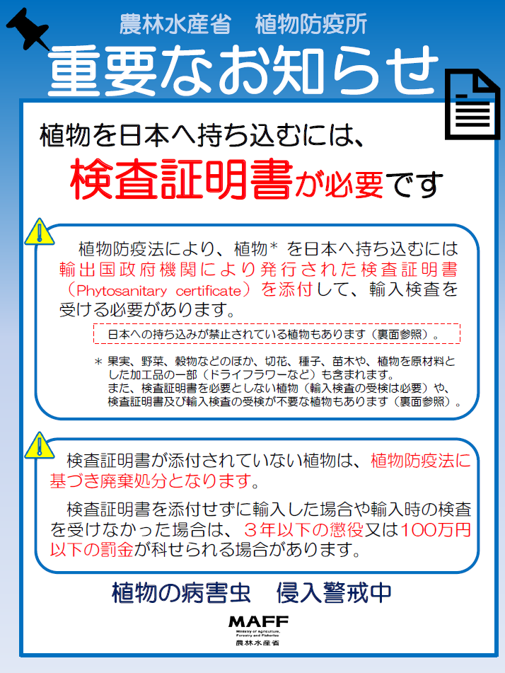 a0067578_08524851.png