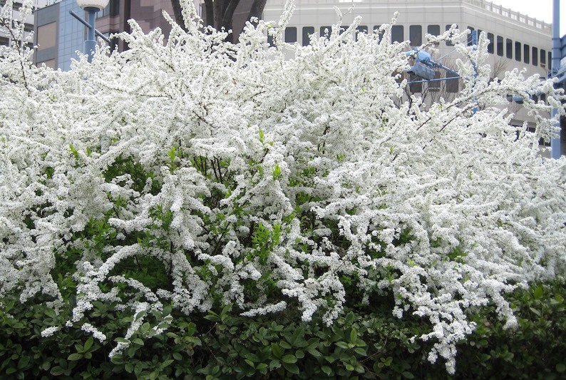 b0057679_09405391.jpg