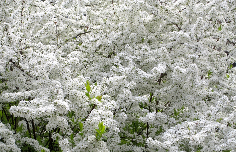 b0057679_09410387.jpg