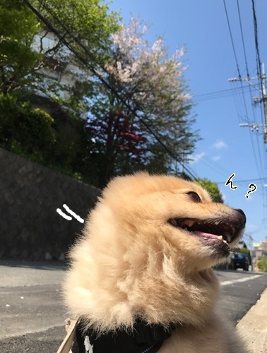 ぽかぽか☼_f0357682_16453261.jpg