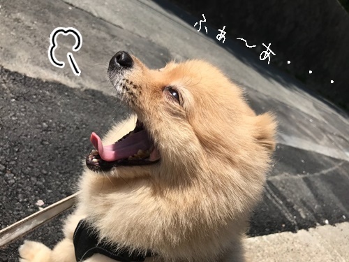 ぽかぽか☼_f0357682_16461208.jpg