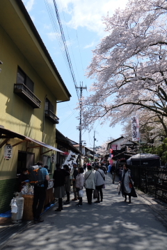 吉野山の千本桜〜あと少し・・・。_c0339296_01595583.jpg