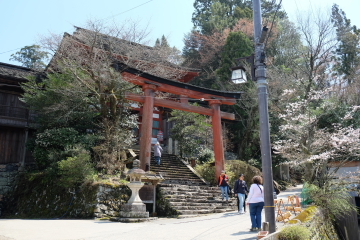 吉野山の千本桜〜あと少し・・・。_c0339296_02043830.jpg