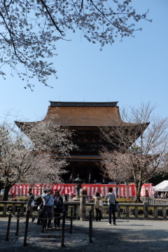 吉野山の千本桜〜あと少し・・・。_c0339296_02051588.jpg