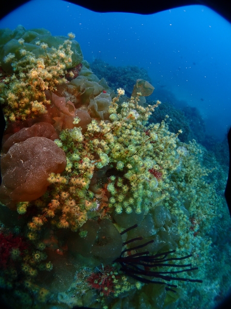 e0115199_19483742.jpg