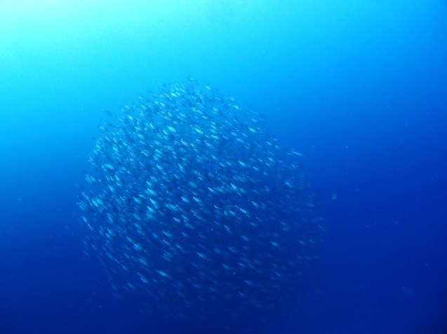 e0115199_20015456.jpg