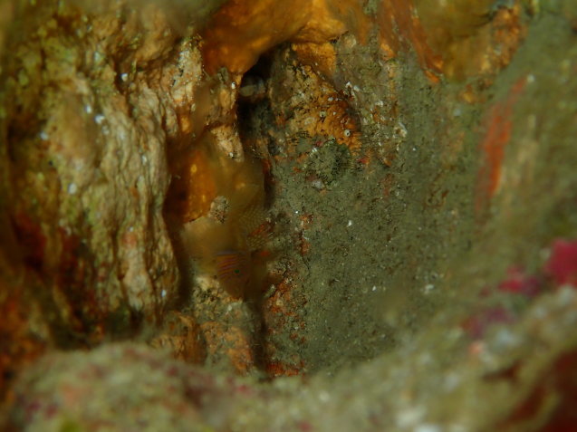 e0115199_20031973.jpg