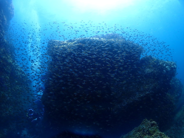 e0115199_20055483.jpg