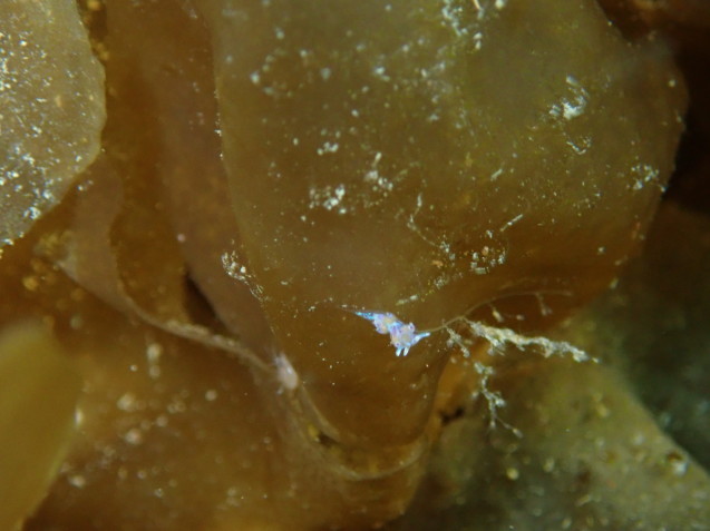 e0115199_20064349.jpg