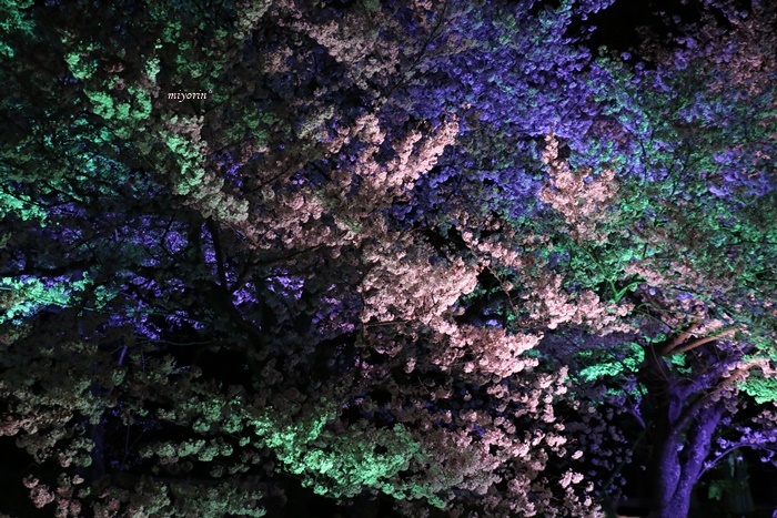 a0123003_18485843.jpg