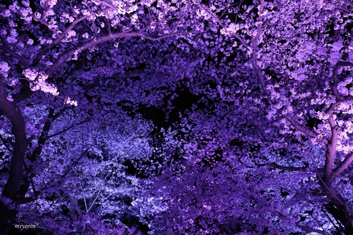 a0123003_18503455.jpg