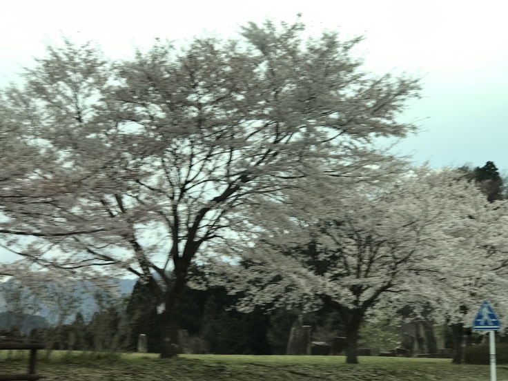 ワイン3本 ♪ 山小屋での休日。_c0212604_19201762.jpg