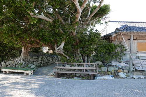 d0147406_11484686.jpg