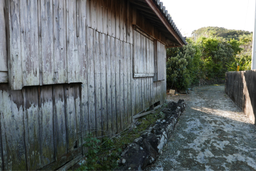 d0147406_11534802.jpg