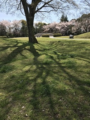 平成最後の桜散策_d0180506_01311344.jpg