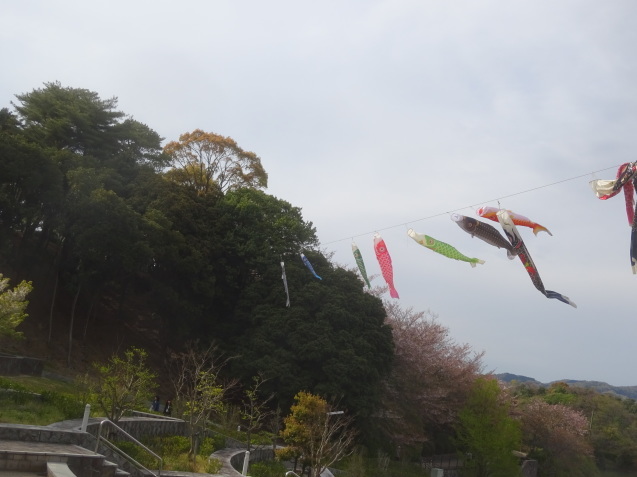 鯉のぼり 今治市民の森 長距離ドライブ 19 4 13 徳ちゃん便り 鯉のぼり 今治市民の森 長距離ドライブ 19 4 13 徳ちゃん便り