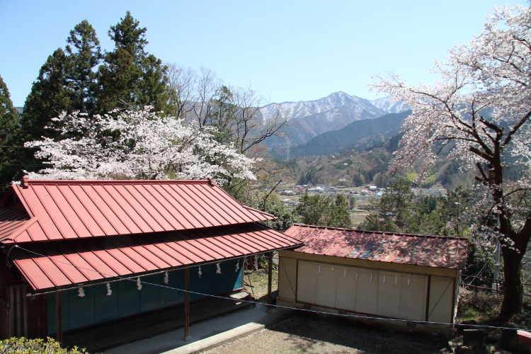 長瀞桜並木と白煙の汽車　- 2019年桜・秩父 -_b0190710_18442551.jpg