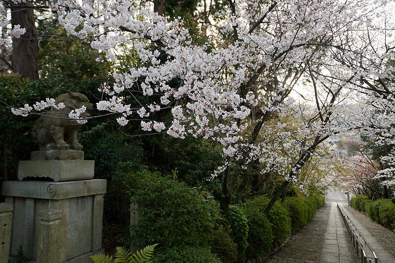f0032011_18440539.jpg