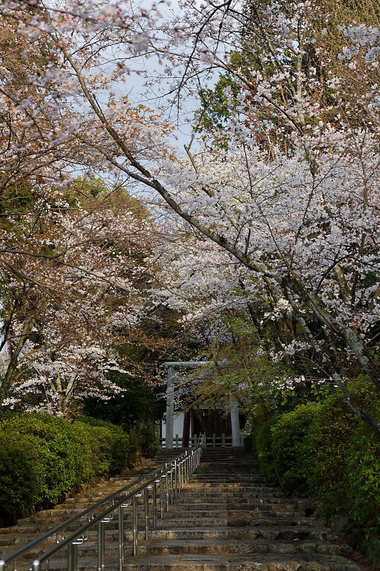 f0032011_18440571.jpg
